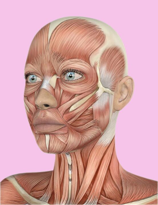 Fabrics for the human face