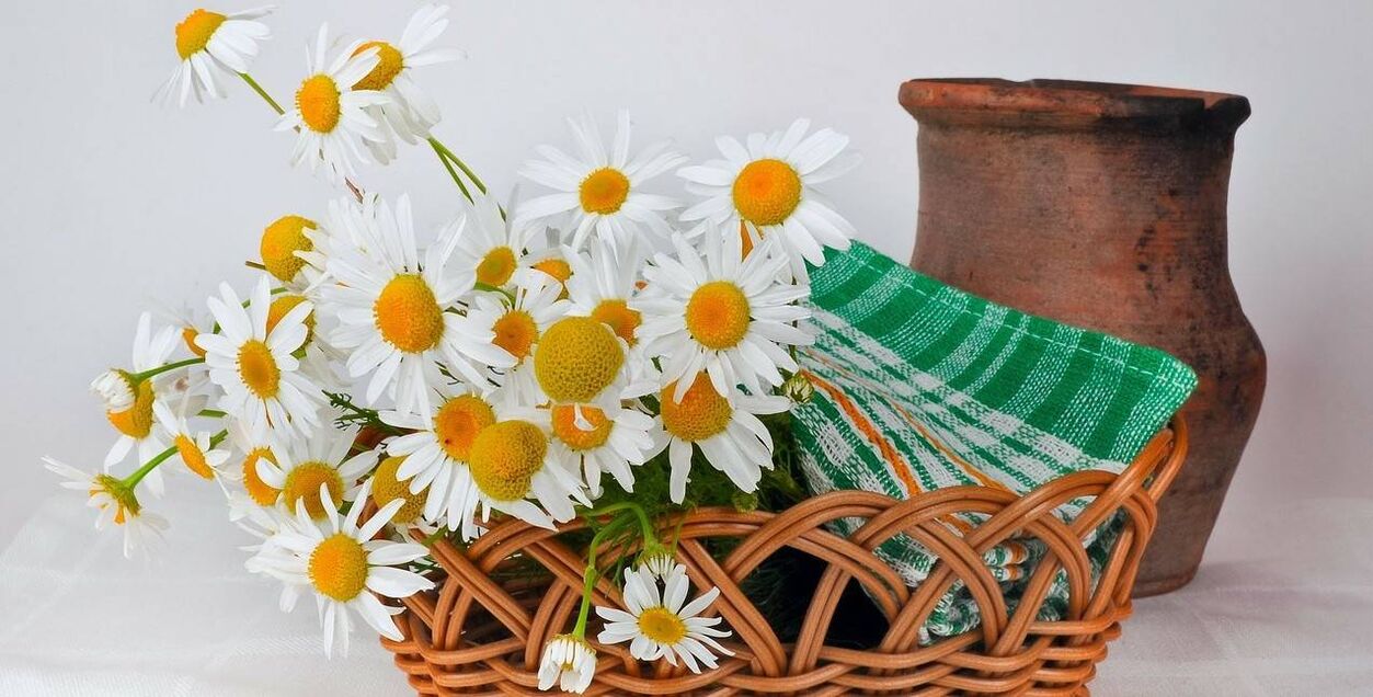 how to make face tonic from chamomile flowers